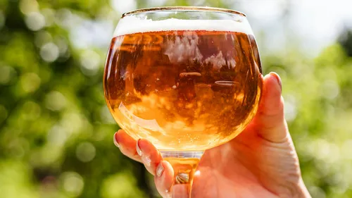 Ein Glas mit orangefarbenem Getränk wird gehalten, umgeben von Grün.