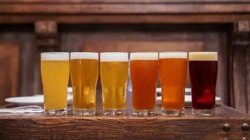 Sechs Gläser Bier in verschiedenen Farben stehen auf Holz.