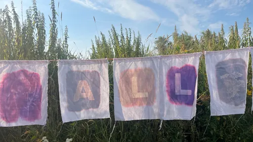 Flags with letters spelling 'ALL' in nature setting.