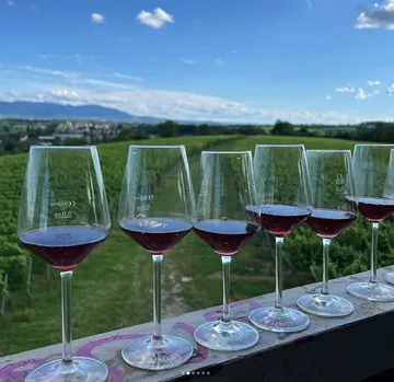 Six wine glasses with red wine stand on a platform.