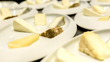 Cheese on plates arranged for tasting in a room.