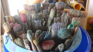 Colourful brushes stand in a bucket full of paint.