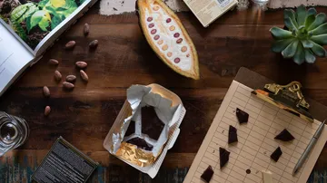 Chocolate bar is lying on wood, surrounded by cocoa beans and notes.
