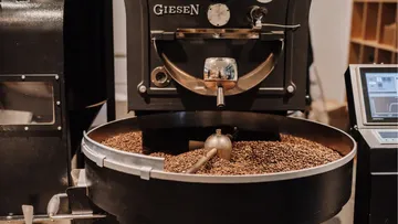 Coffee roaster with beans that are roasted in a coffee factory.