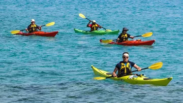 Four kayakers are paddling in clear blue water.