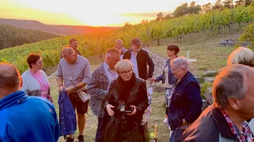 Gruppe von Menschen genießt den Sonnenuntergang in Weinbergen.