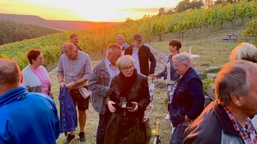 Group of people celebrating in the vineyard at sunset.
