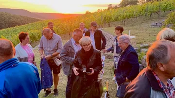 Group of people enjoying sunset in vineyards.