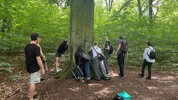 Groups of people examine a tree in the forest.