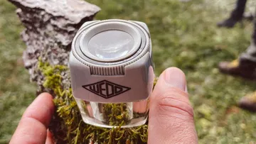 Hand hält Vergrößerungsglas über moosigem Boden im Freien.