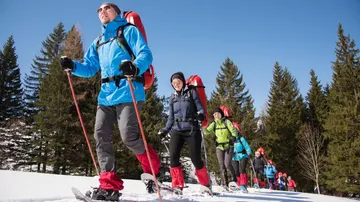 Grouping of snowshoe hikers across snow-covered ground in the forest.