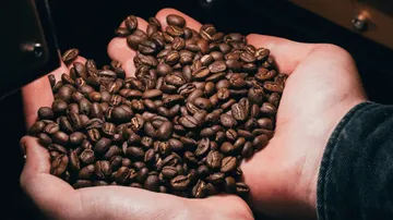 Kaffeebohnen in Händen halten, dunkle Umgebung, geschmackvoll.