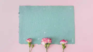Green paper with three cloves on a pink background