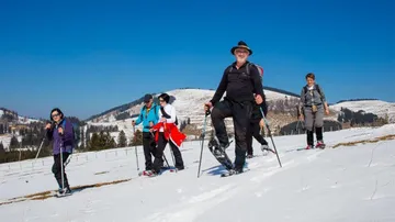Peer pressure discovers snowshoeing in a wintry landscape.
