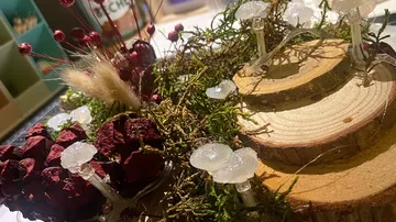 Holzscheiben mit dekorativen Blumen und Moos in einem Arrangement.