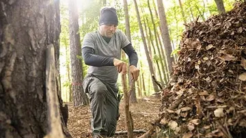 Man digs in the forest with a stick next to piles of leaves.