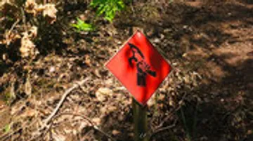 Warnschild zeigt Gefahr, steht entlang einem unebenen Weg.
