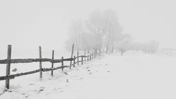 Zaun steht im Schnee, umgeben von nebeligen Bäumen.