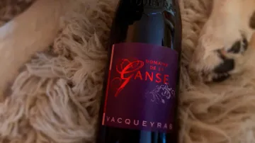 Flasche Wein liegt auf einem Teppich mit Hundeobe.