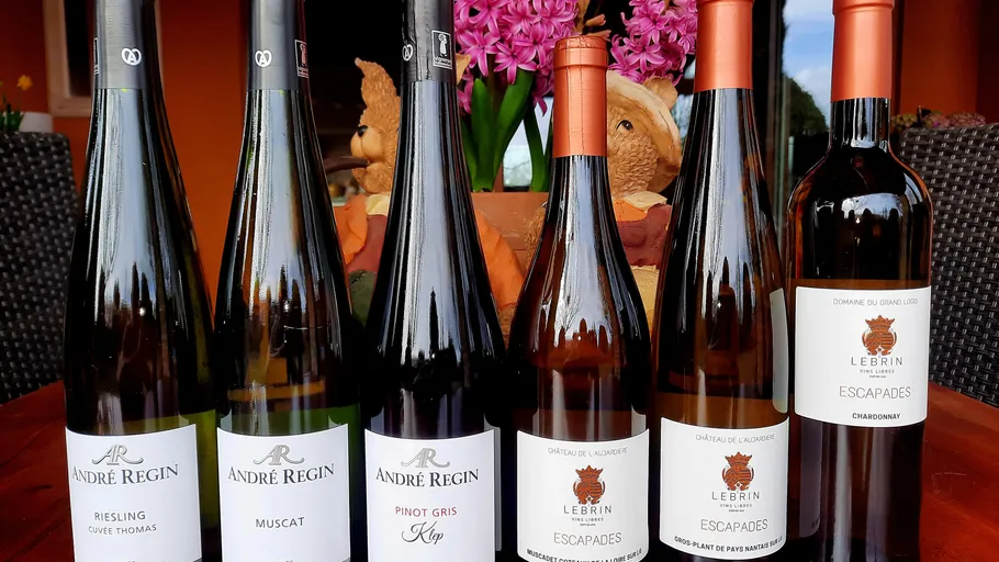 Six wine bottles are placed on a table surrounded by plants.