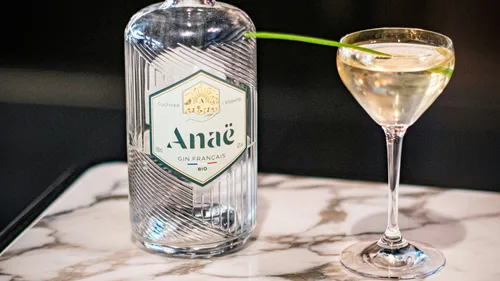 Bottle of gin next to cocktail glass on marble plate.