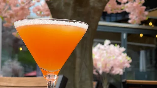 A cocktail stands in front of blooming cherry trees in a café.