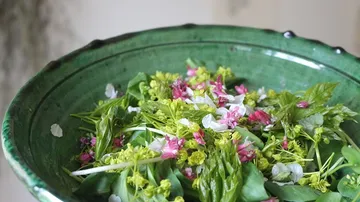 Bowl with colorful salad and flowers in a green plate.