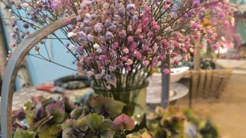 Pink and purple flowers in a vase indoors.