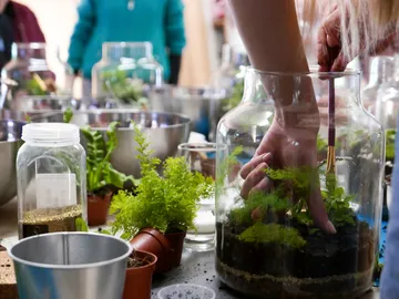 A hand plants plants in a large glass container.