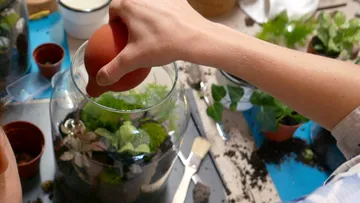 Eine Hand platziert einen Ball in ein Glas mit Pflanzen.
