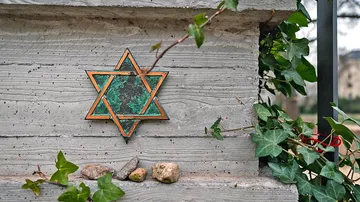 Sechszackiger Stern an einer grauen Wand, umrahmt von Pflanzen.