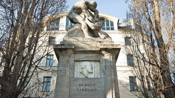 Statue von Rudolf Virchow auf einem steinernen Podest.