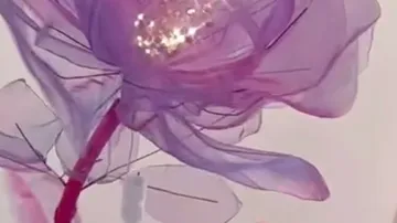 Purple translucent flower with glittering center.