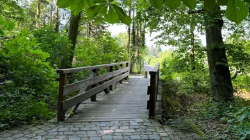 Wooden bridge over a narrow path surrounded by lush greenery.