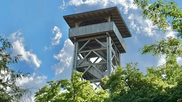 Wooden tower stands in wooded surroundings under blue skies.