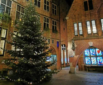 Ein Weihnachtsbaum leuchtet nachts in einer historischen Stadt.