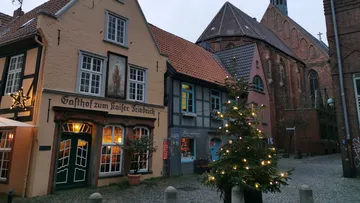 Ein Weihnachtsbaum steht beleuchtet vor historischen Gebäuden.