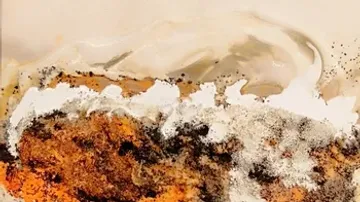 Colourful painting depicts earthy tones and soft waveforms.