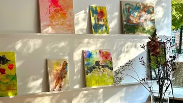 Gemälde hängen an einer Wand, Schatten und Pflanze daneben.