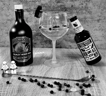 Gin-tasting Kuki's Fine Spirit