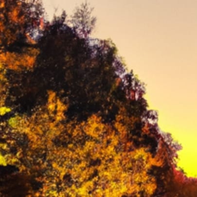 Berufung & Seelenplan - Warum bin ich hier? Online-Workshop