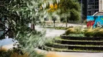 Trees move as wind blows through an urban environment.