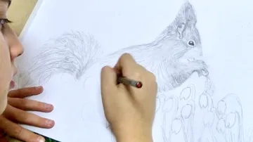 Ein Mädchen zeichnet einen Schwanz mit einem Bleistift.