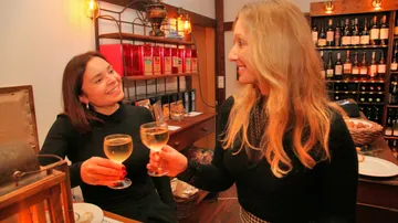 Two women toasting with wine glasses in a cozy room.