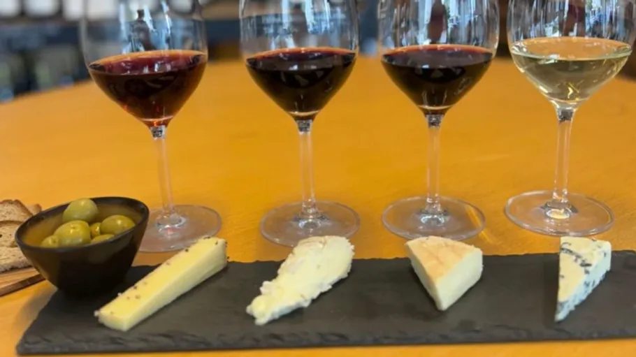 Wine & Cheese Pairing Class in Düsseldorf