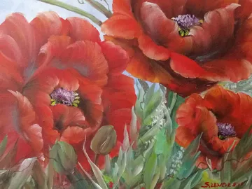 Red flowers bloom vividly in green surroundings.