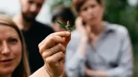 Kräuterwanderung in Hamburg