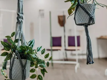 Hanging planters with green leaves in a room.