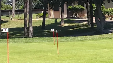 Red flags stand between trees on a green golf course.