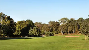 Green golf course environment with trees and sand bunkers.
